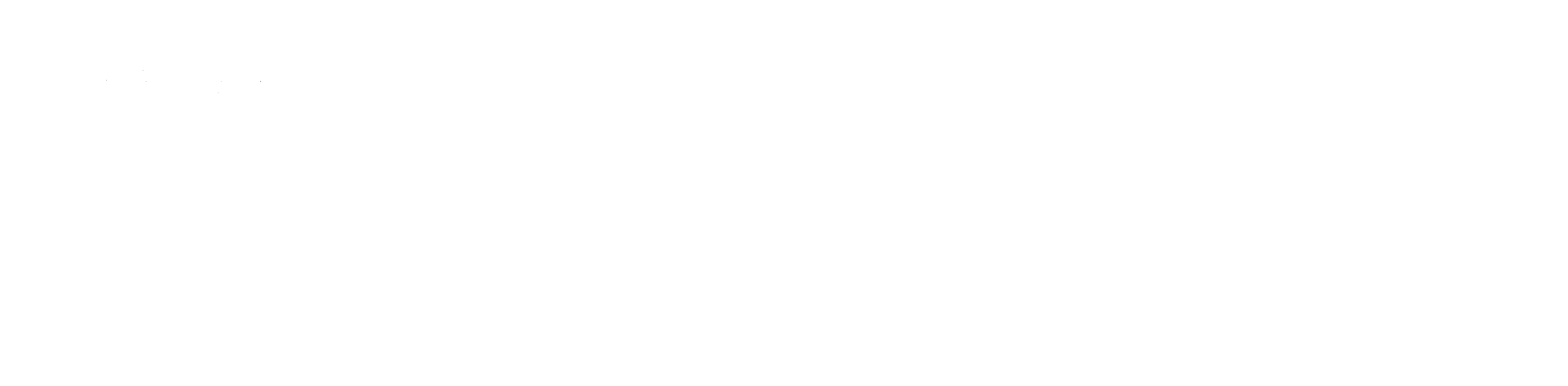 Sertrumex Logo